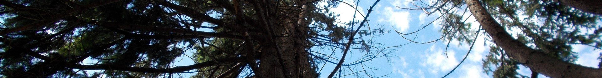 cropped-arnaud-mesureur-88560.jpg